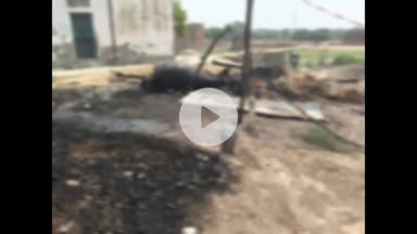 भदोही: सर्रोई में शॉर्ट सर्किट से मड़हे में लगी आग, भैंस की मौत, महिला झुलसी