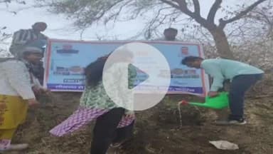 मांगरौल: वंदे गंगा जल संरक्षण जन अभियान में सार्वजनिक निर्माण विभाग खंड मांगरोल ने किया पौधारोपण