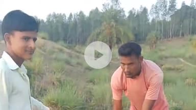सहसवान: असलोर गाँव के दारा सिंह छुट्टा घायल गौवंशों की महरम पट्टी कर रहे हैं सेवा