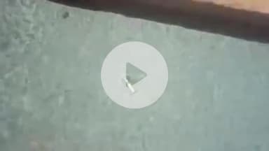 बेनीपुर: गोलीकांड: गिरफ्तार दो आरोपियों को भेजा गया जेल