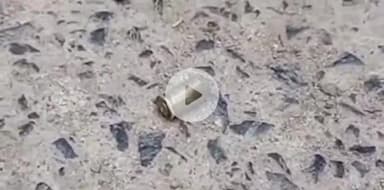 पटना ग्रामीण: अरफाबाद में अपराधियों ने पति-पत्नी और बेटी को मारी गोली, पत्नी और बेटी की इलाज के दौरान मौत