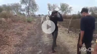 बटियागढ़: ग्राम पंचायत मैनवार के मोटे हार में किसानों के लिए नहीं है पक्की सड़क,किसान परिवार परेशान #jansamasya