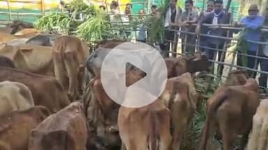 दीगोद: पीपल्दा क्षेत्र के विधायक चेतन पटेल के जन्मदिन पर सुल्तानपुर कस्बे में अनेक कार्यक्रम आयोजित किए गए