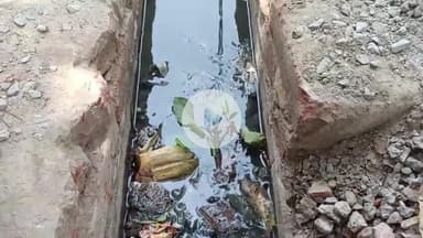 इटावा: सदर इलाके में व्रज विहार कॉलोनी में गंदगी का लगा अंबार, स्थानीय लोग हुए परेशान #jansamasya