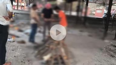 कानपुर: भैरव घाट पर विधि विधान से कुत्ते का अंतिम संस्कार हुआ, वीडियो सोशल मीडिया पर वायरल