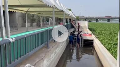 અમદાવાદ શહેર: ભગવાન જગન્નાથની જળયાત્રા પહેલાં જળકુંભી નીકળી, બે દિવસ પહેલાં જ નદીમાં પાણી છોડાયું હતું