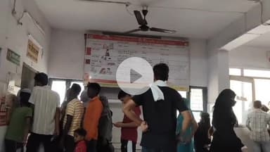 धनौरा: गजरौला शहर में बड़ा आवारा कुत्तों का आतंक, 40 लोगों पर किया हमला, पांच की हालत गंभीर