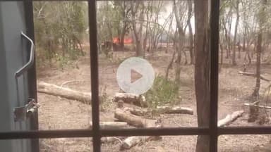 बडोनी: ग्राम चोपरा के समीप जंगल में लगी आग, दमकल कर्मियों ने आग पर पाया काबू