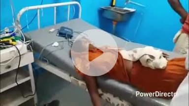 कहरा: सांप काटने से महिला बेहोश, अस्पताल में मृत घोषित, घटना सदर थाना क्षेत्र के भेलवा की