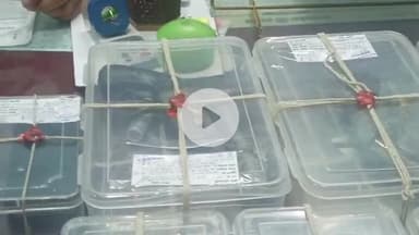 दमोह: कोतवाली पुलिस को मिली बड़ी सफलता, अवैध हथियारों के साथ 3 आरोपी गिरफ्तार, ASP संदीप मिश्रा ने दी जानकारी