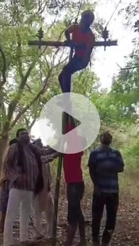 फतेहपुर: असोथर के मनावां में बिजली विभाग की अनोखी बिजली सप्लाई व्यवस्था, बांस व बल्ली के बिजली पोल से दी जा रही है बिजली सप्लाई