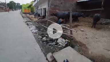 सिराथू: सिपाह के घुसियाना में महीनों नहीं होती सफाई,सैकड़ों घरों के सामने जमे गंदे पानी के कीचड़ और बदबू से जीना दूभर #jansamasya