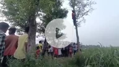 कप्तानगंज: टेकुआटार में संदिग्ध परिस्थितियों में शीशम के पेड़ से लटकता मिला युवक का शव, मची सनसनी, पुलिस जांच में जुटी