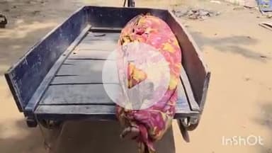 आरा: आरा रेलवे स्टेशन और कारीसात स्टेशन के बीच चलती ट्रेन से गिरकर एक अज्ञात युवक की हुई मौत