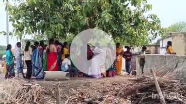 समुद्रपूर: तालुक्यात महिलांनी वटवृक्षाची पुजा करून मोठ्या उत्साहात साजरा केला वटसावित्री पौर्णिमा सण
