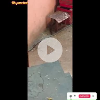 🪱कोबरा सांप rescue #animal rescue #follow dk panchal