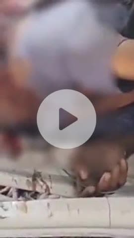 नरवल: महाराजपुर थाना क्षेत्र में NH-2 पर ट्राले और ट्रैक के बीच जोरदार भिड़ंत, चालक की मौत, परिचालक गंभीर रूप से घायल