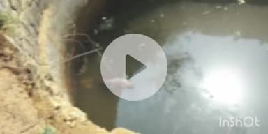 गोहपारु: मोहतरा गांव में कुएं में गिरने से 37 वर्षीय महिला की मौत, पुलिस ने दी जानकारी