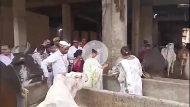 कोल: नगला मसानी गौशाला का कमिश्नर ने किया निरीक्षण, गौमाता का पूजन कर खिलाया भोजन