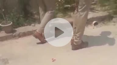 बेनीपुर: मारपीट मामले में खोखा बरामद होने का वीडियो वायरल