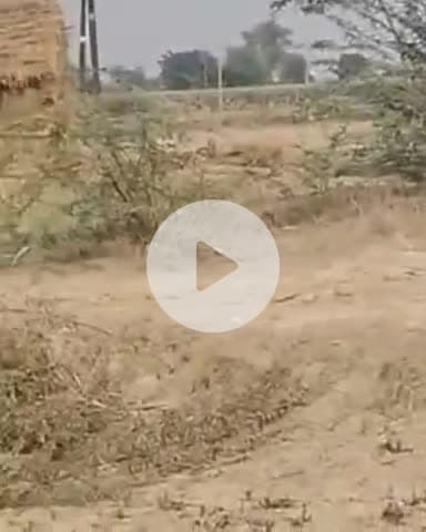 बिल्हौर: बिल्हौर के बैडी अलीपुर में ग्राम पंचायत की जमीन पर अवैध कब्जा