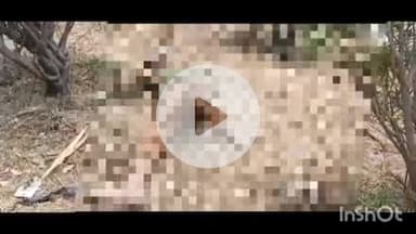 मीरगंज: मीरगंज नेशनल हाईवे पर डिवाइडर के बीचो-बीच शव मिलने से मचा हड़कंप