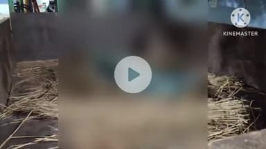 नवादा: वारिसलीगंज के झौर से ससुराल के लिए निकला युवक सड़क दुर्घटना में बुरी तरह घायल, इलाज के दौरान पटना में हुई मौत