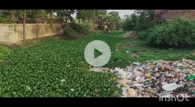 नबीनगर: नवीनगर स्थित ऐतिहासिक पुनपुन नदी में भरी गंदगी, उठ रही दुर्गंध