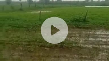 टोंक: टोंक में किसानों को मिला पर्याप्त उर्वरक, भारतीय किसान संघ ने कृषि आयुक्त को सौंपा ज्ञापन