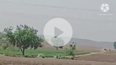 खरगौन: खरगोन में तापमान 40 डिग्री के पास, कपास की बुवाई रोकी गई