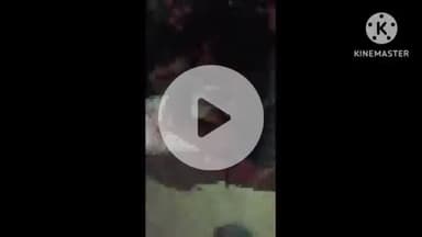 खुरई: गुरुकुल के पास ट्राला ने बंसल कंपनी के बाइक सवार मजदूर को कुचला, मजदूर घायल