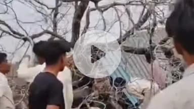 खालवा: भिडिंग्या में बस स्टॉप पर पेड़ गिरने से महिला की दबकर मौत