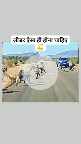 लीडर ऐसा ही होना चाहिए.......