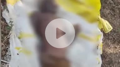 फतेहपुर: रमसोलेपुर यमुना घाट पर मछली पकड़ने के दौरान डूबे बुजुर्ग के शव को पुलिस ने किया बरामद