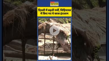 Delhi में बढ़ती गर्मी, चिड़ियाघर में किए गए ये खास इंतजाम | #shortvideo #shorts #delhiheatwave