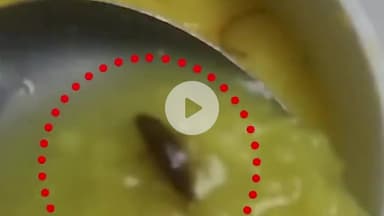 दादरी: नोएडा सेक्टर-62 के फोर्टिस अस्पताल में मरीज की खिचड़ी में निकला कॉकरोच, वीडियो वायरल होते ही हरकत में फूड विभाग