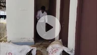 लाडपुरा: रानपुर क्षेत्र की देवनारायण योजना के एक मकान में कंडो के बीच घुसा कोबरा सांप, महिला बाल-बाल बची, किया गया रेस्क्यू