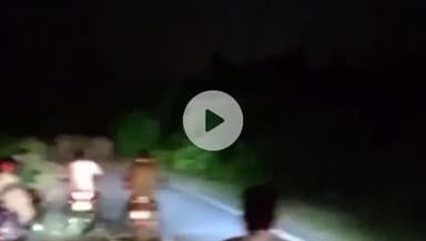 हज़ारीबाग: हजारीबाग: हाथी के हमले में महिला की दर्दनाक मौत, ग्रामीणों में दहशत