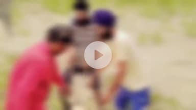 पीलीभीत: कबीरगंज बल फार्म पशुशाला से बाघ ने खींच ले गया मवेशी, खेत में मिला अधखाया शव