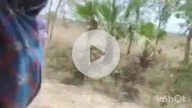 भभुआ: नरोत्तापुर गांव में दो पक्षों के बीच मारपीट में मां, बेटा और बेटी तीन लोग घायल, सदर में इलाज जारी