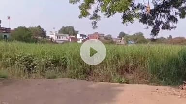 कटनी नगर: खदान धसकने से वृद्ध की डूबने से मौत, कावसजी जी वार्ड भट्टा मोहल्ला में हुई घटना