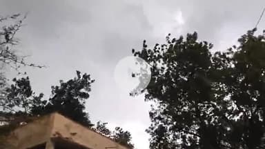 खरगौन: खरगोन में उमस के बाद हवा-आंधी से गिरे पेड़