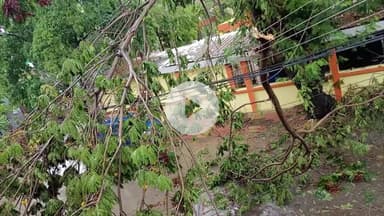 बिचौली हप्सी: तेज हवा के साथ बारिश से लोगों को गर्मी से मिली राहत, कई जगह नुकसान, सड़क पर गिरे पेड़, दुकानों में भरा पानी