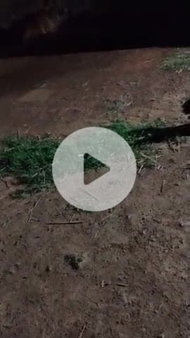 घुमका में बिजली बंद से सभी ग्राम वासी परेशान हैं ।