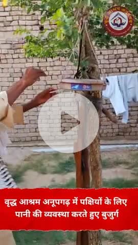वृद्धआश्रम अनूपगढ़ में रह रहे देवतुल्य वृद्धजन पक्षीयों के लिए पानी भरते है रोजाना।