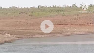 छीपाबड़ोद: छीपाबडौद क्षेत्र में वन्य जीव गणना के दौरान कई वन्य जीव आए नजर