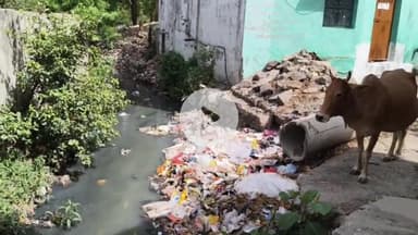 बीना: खिरिया वार्ड में अधूरी पड़ी पुलिया का नहीं हुआ निर्माण, स्थानीय लोग परेशान
#jansamasya