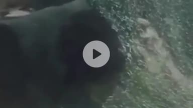 झांसी: शताब्दी एक्सप्रेस के वीरांगना लक्ष्मीबाई स्टेशन छोड़ने के बाद ट्रेन के कोच के शीशों पर किया गया पथराव, वीडियो हुआ वायरल