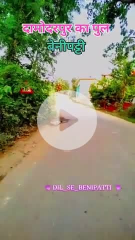 दामोदरपुर का पुल बेनीपट्टी 
#benipatti ##benipattinews #BenipattiNews #benipatti_likes @DIL_SE_BENIPATTI