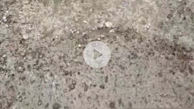 सारंगपुर: पचोर सारंगपुर क्षेत्र में तेज़ हवा के साथ हुई बारिश व गिले ओले, कई जगह पर विद्युत आपूर्ति हुई बाधित